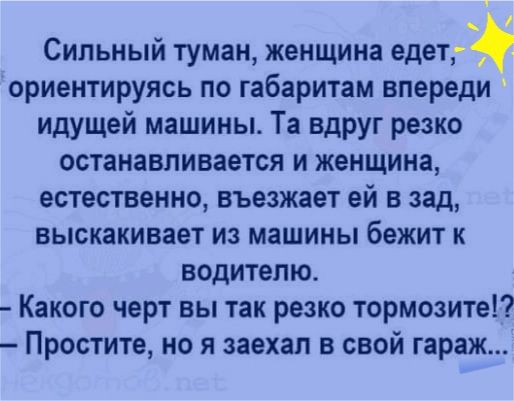 Сильный туман женщина етап ориентируясь по габаритам впереди идущей машины Та вдруг резко останавливается и женщина естественно въезжает ей в зад выскакивает из машины бежит к водителю Какого черт вы так резко тормозитеГ Простите но я заехал в свой гараж
