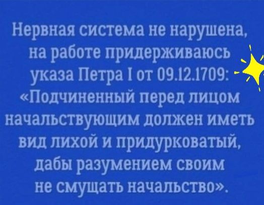 Нервная система не нарушена на работе придерживаюсь указа Петра от 09 12 1709 Подчиненный перед лицом начальствующим должен иметь вид лихой и придурковатый дабы разумением своим не смущать начальство