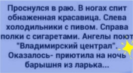 Проснулся рио В ногах слит обнаженная красавица Слева холодильники с пивом Справа полки с снгаретанн Ангелы поют Владимирский централ Оказалось приютила на ночь барышня из ларька