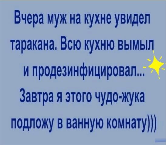 Вчера муж на кухне увидел таракана Всю кухню вымьщ и продезинфицировап Завтра я этого чудо жука подложу в ванную комнату