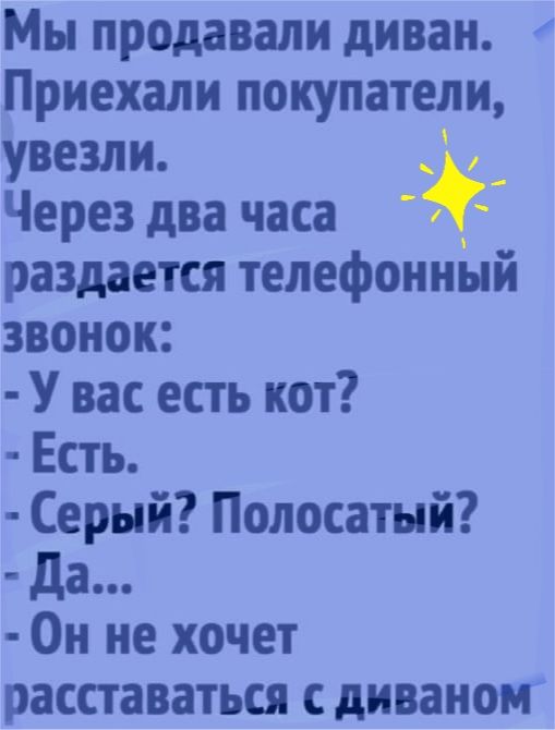 Мы продавали диван Приехали покупатели увезли Через два часа раздается телефонный звонок У вас есть кот Есть Серый Полосатый да Он не хочет расставаться с диваном