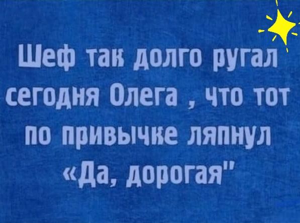 Шеф так долго ругахі сегодня Олега что тот по привычке ляпнул да дорогая
