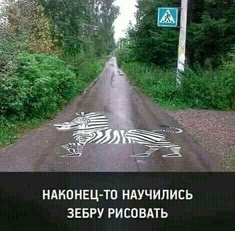 НАКОНЕЦТО НАУЧИЛИСЬ ЗЕБРУ РИСОВАТЬ