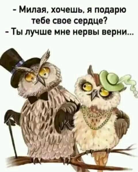 Милая хочешь я подарю тебе свое сердце Ты лучше мне нервы верни