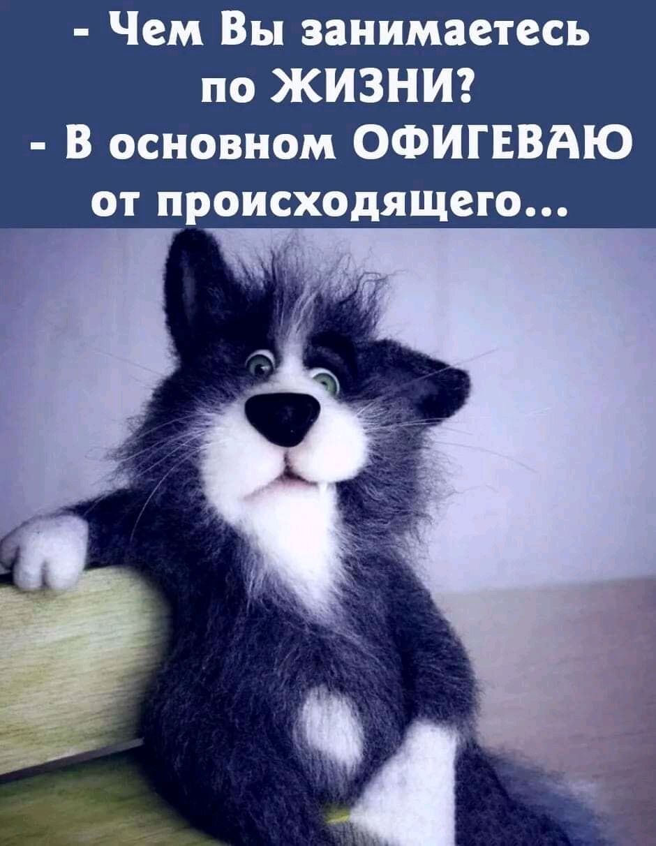 Чем Вы занимаетесь по ЖИЗНИ В основном ОФИГЕВАЮ от происходящего