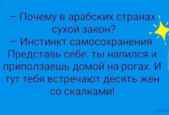 Почему в арабских странах в сухой закон Инстинкт самосохранения Представь себе ты напился и приползаешь домой на рогах И тут тебя встречают десять жен со скапками