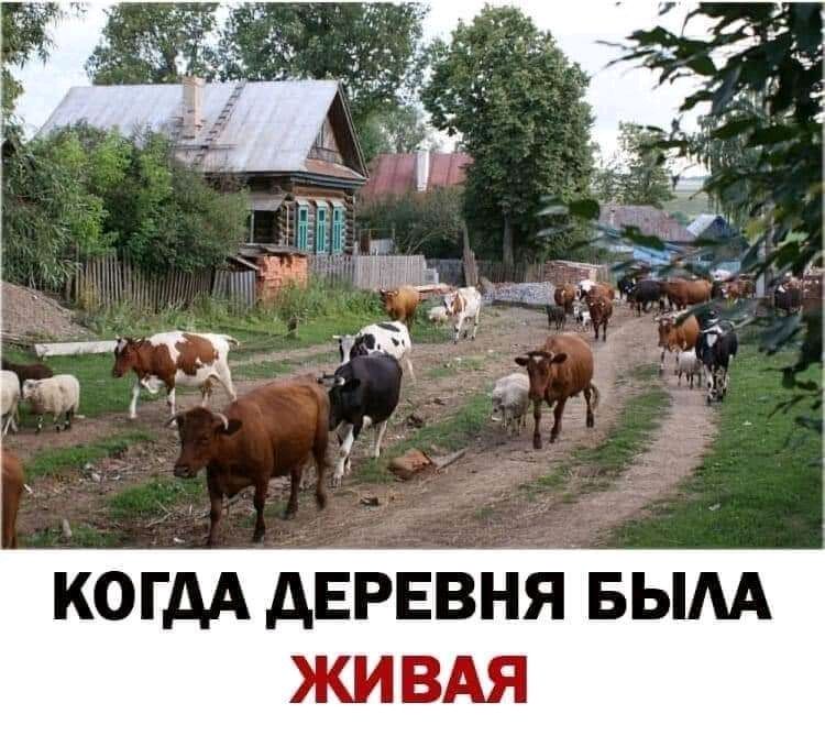 КОГДА ДЕРЕВНЯ БЫАА ЖИВАЯ