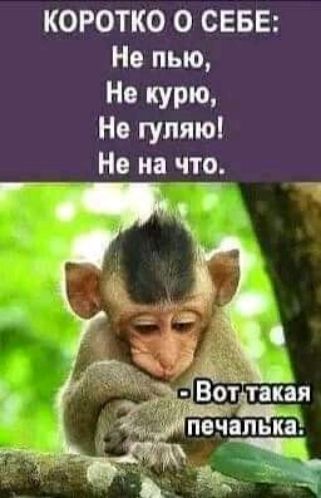 КОРОТКО О СЕБЕ Не пью Не курю На гуляю Не на чтз Вфщкая печапыіа __ т