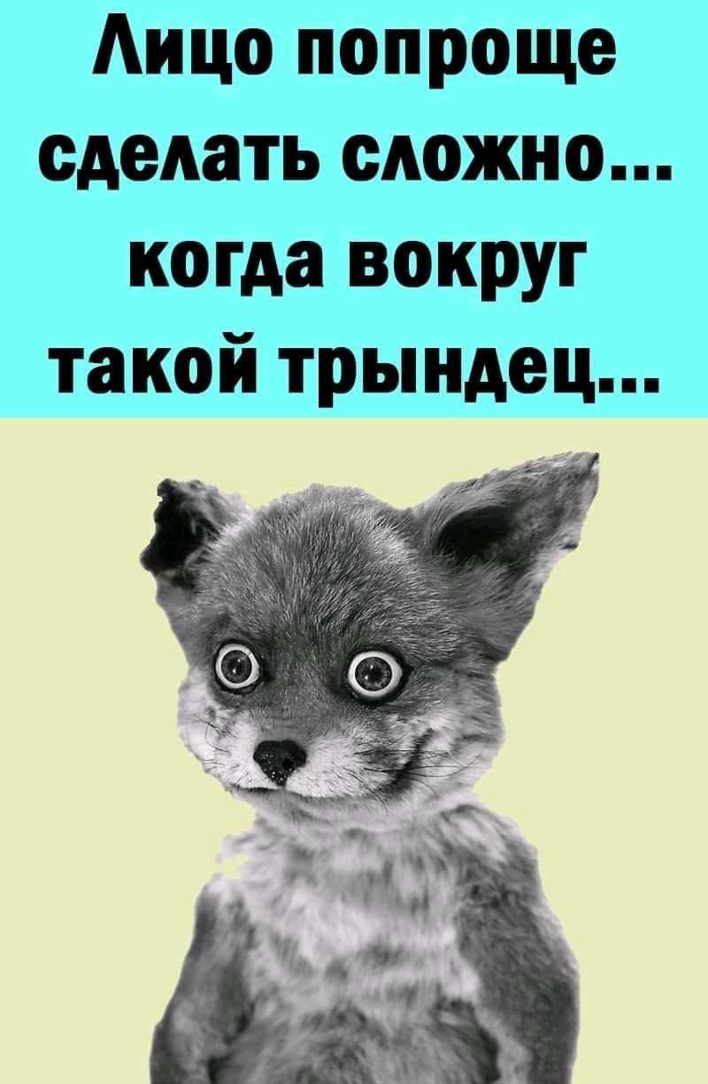 Аицо попроще сделать сложно когда вокруг такой трындец