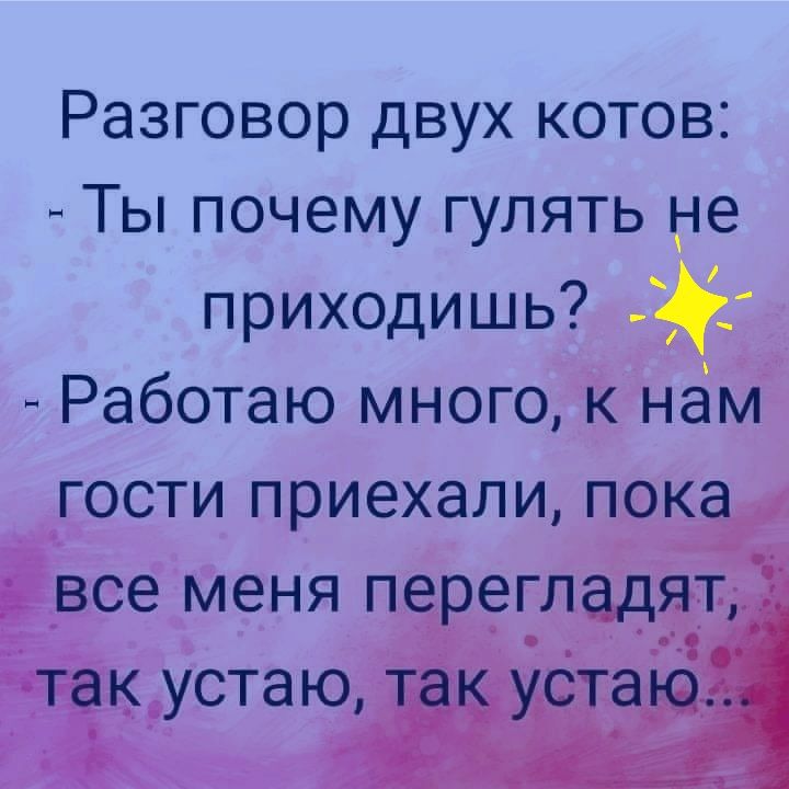 Разговор двух котов Ты почему гулять не приходишь __ Работаю много к нам гости приехали пока все меня перегладят