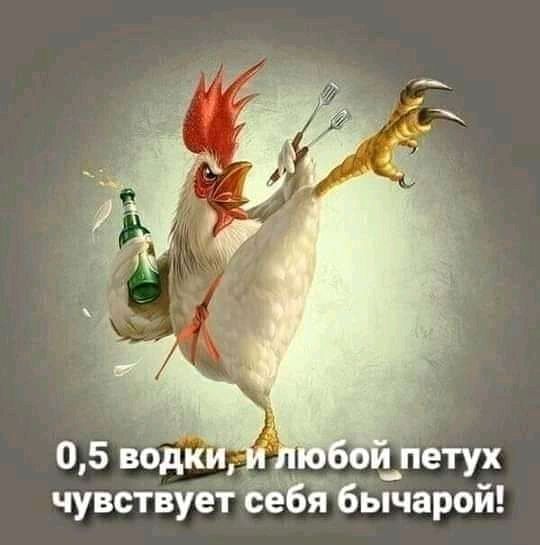 05 водк етух чувствует ЁеЁя 6ЬГчарой