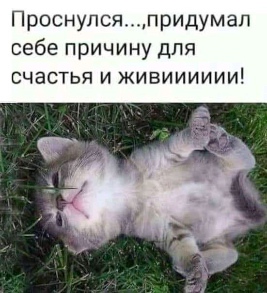 Проснулсяпридумал себе причину для счастья и живииииии