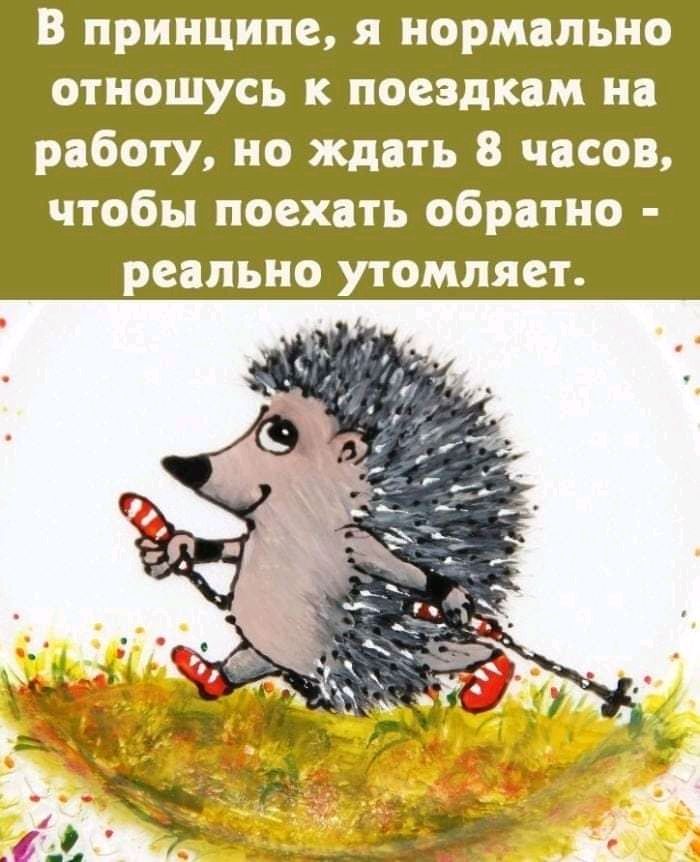 В принципе я нормально отношусь к поездкам на работу но ждать 8 часов чтобы поехать обратно реально утомляет