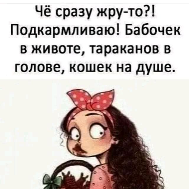 Чё сразу жруто Подкармливаю Бабочек в животе тараканов в голове кошек на душе