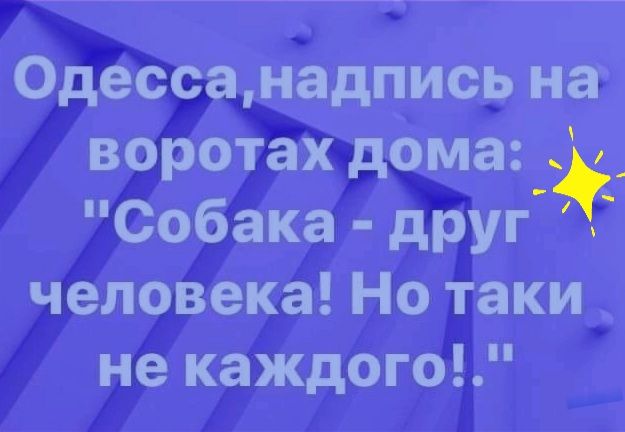 Одессанадпись на воротах дома _ Собака друг человека Но таки не каждого