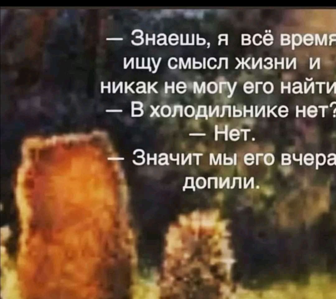 п Знаешь я всё вм ищу смысл жизни никакие м его найти вхья ике нет Значит мщеэгб ечера дошли