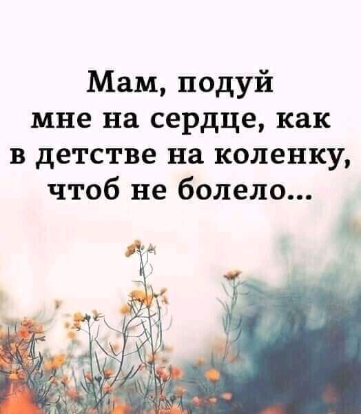 Мам подуй мне на сердце как в детстве на коленку чтоб не болело