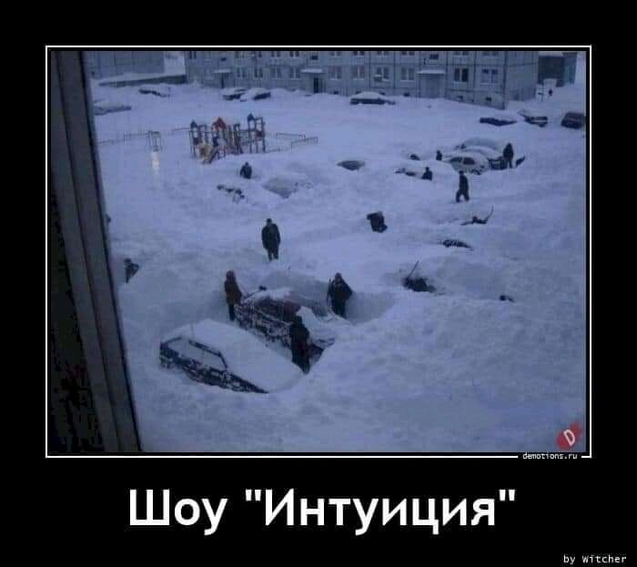 Шоу Интуиция