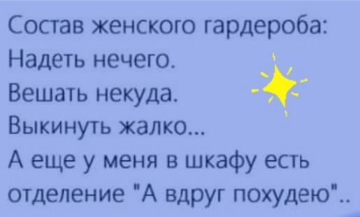 Состав женского гардероба Надеть нечего _ Вешать некуда Выкинуть жалко А еще у меня в шкафу есть отделение А вдруг похудею