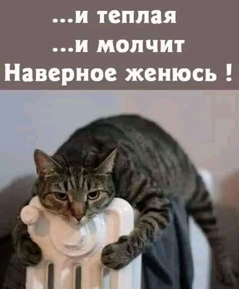 ..й теплая .й молчит наверное женюсь !