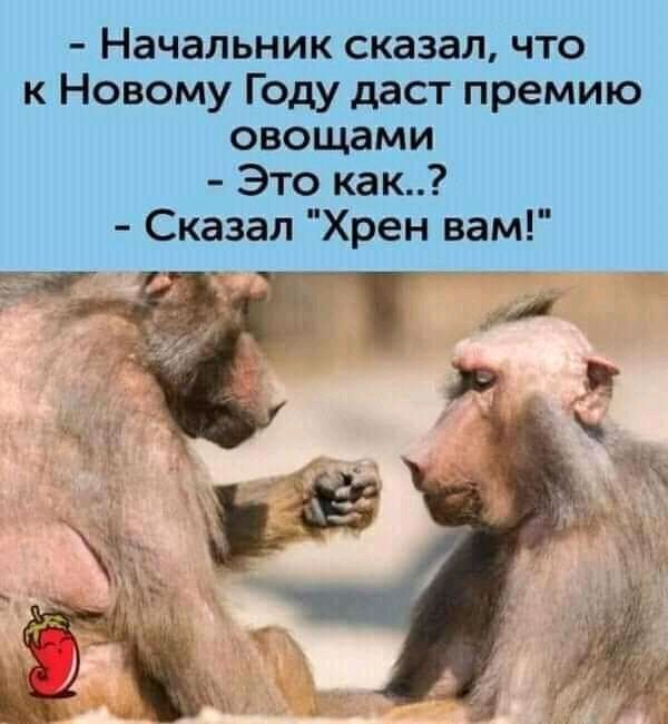 Начальник сказал что к Новому Году даст премию овощами Это как Сказал Хрен вам
