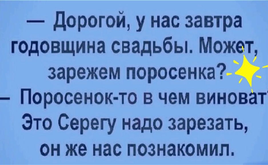 Дорогой у нас завтра годовщина свадьбы Может зарежем поросенка_ Поросенок то в чем виноват Это Серегу надо зарезать ОН же нас ПОЗНЭКОМИЛ