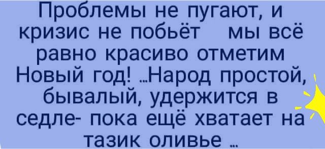 Проблемы не пугают и кризис не побьёт мы всё равно красиво отметим Новый год Народ простой бывалый удержится в седле пока ещё хватает на тазик оливье