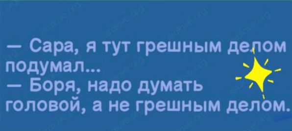 Сара я тут грешным делом подумал Боря надо думать головой а не грешным делом