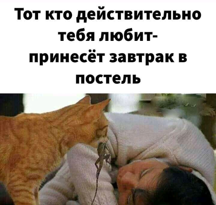 Тот кто действительно тебя любит принесёт завтрак в ПОСТЕЛЬ