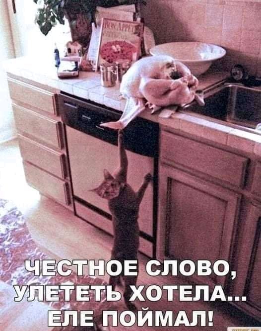 овдловц УШЕТЕТЬ хотвлд ЛЕЁПФЙМАЛ