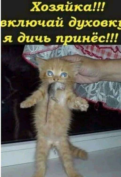 Хозяйка