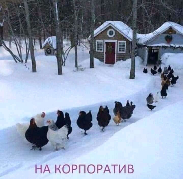 ГК НО Р П С РДПі 3