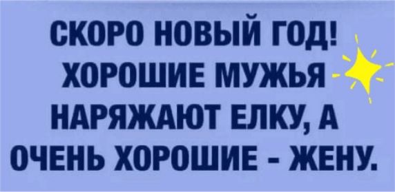 скоро новый год хорошив мужья НАРЯЖАЮТ ЕЛКУ А 0ЧЕНЬ Х0Р0ШИЕ ЖЕНУ