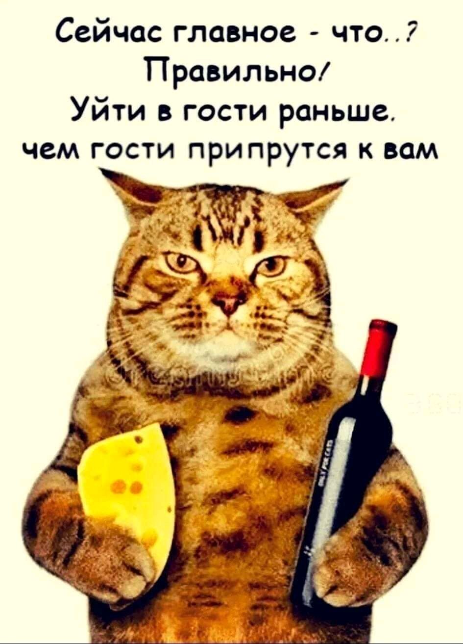 Сейчас главное что Правилыю Уйти гости раньше чем гости при прутся к вам