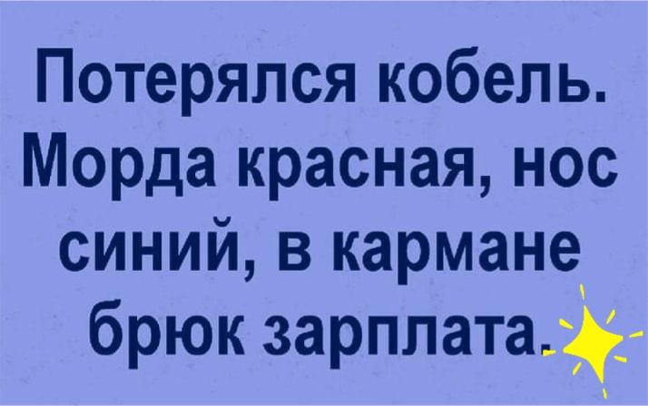 Потерялся кобель Морда красная нос синий в кармане брюк зарплатад