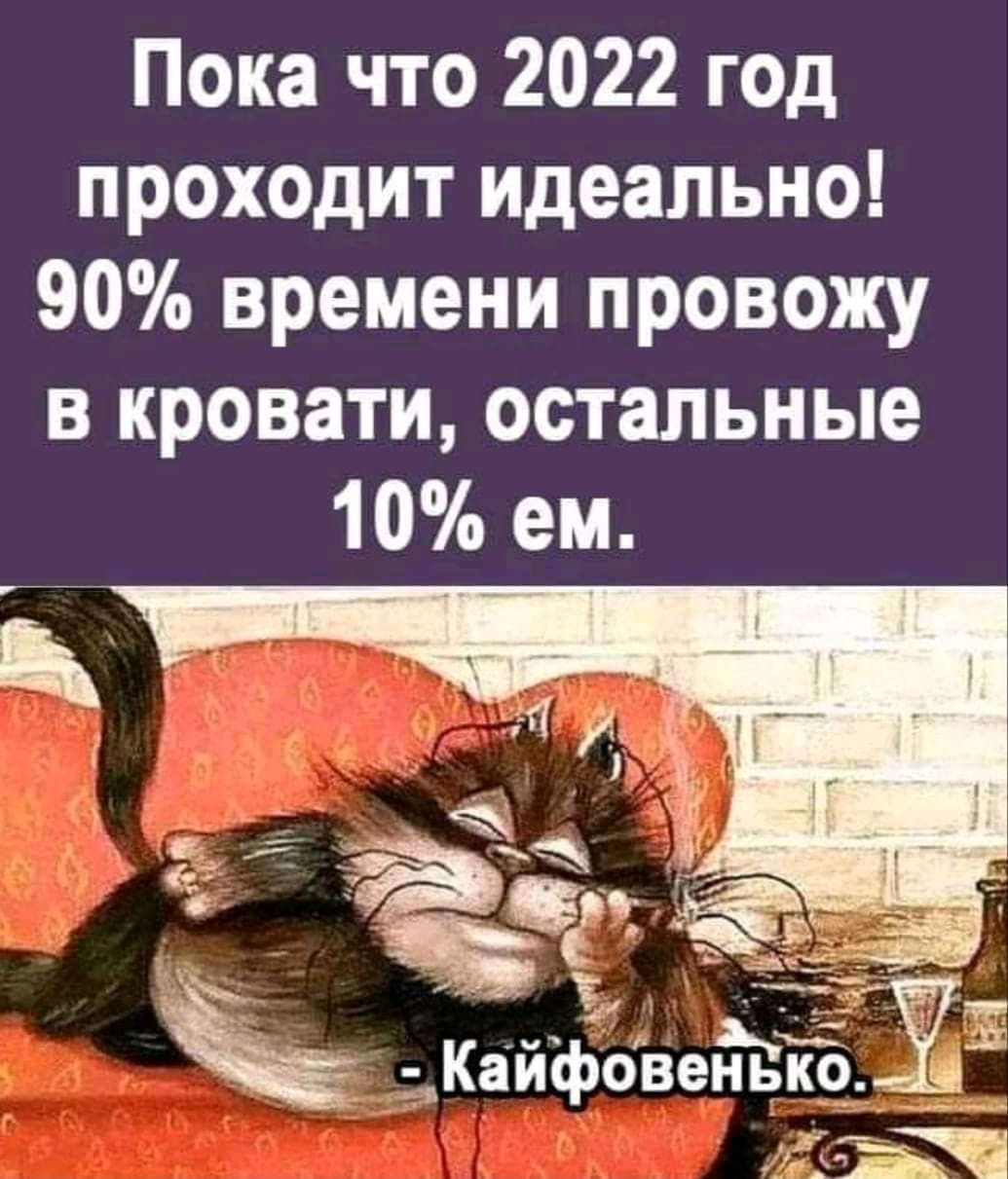 Пока что 2022 год проходит идеально 90 времени провожу в кровати остальные 10 ем