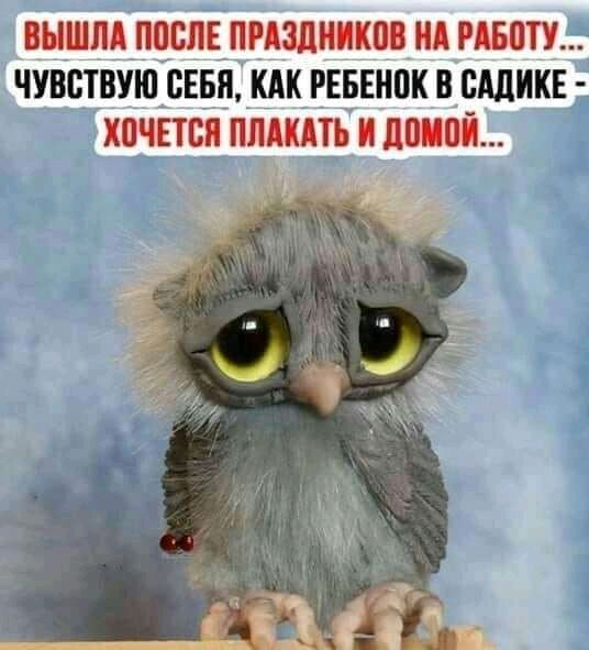 ВЫШЛА ППСЛЕ ПРАЗДНПКПВ НД РАБОТУ ЧУВСТВУЮ СЕБЯ КАК РЕБЕНОК __ БАЛИКЕ ШЧЕТСП ПЛД дТЬ11Д0ГПЕі
