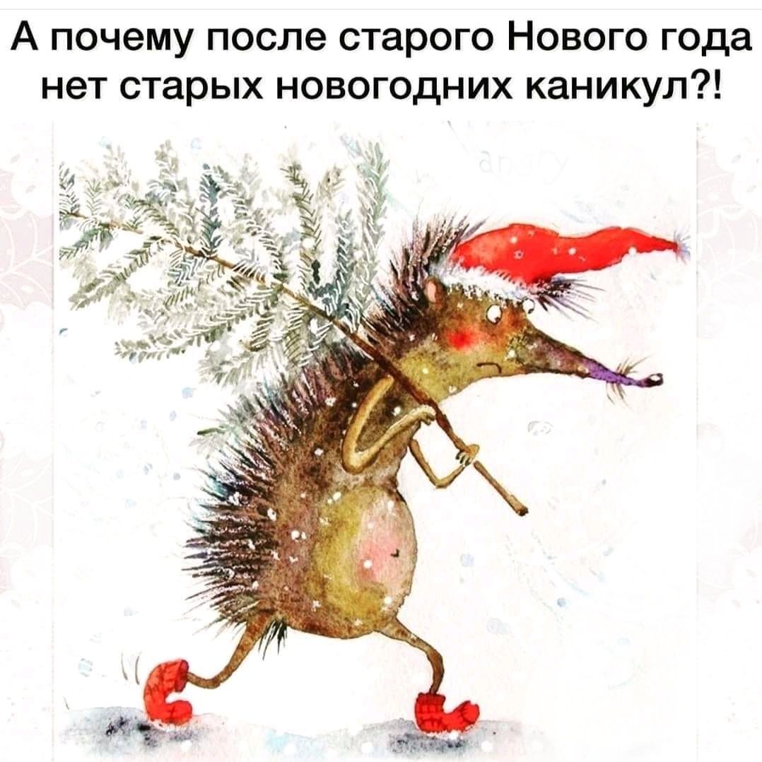 А почему после старого Нового года нет старых новогодних каникул