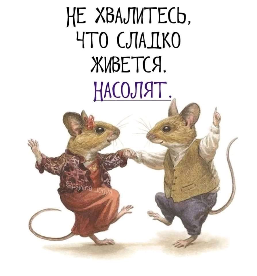 НЕ ХВАЛИТЕСЬ ЧТО СЛАЛКО ЖИВЕТСЯ НАСОЛЯТ