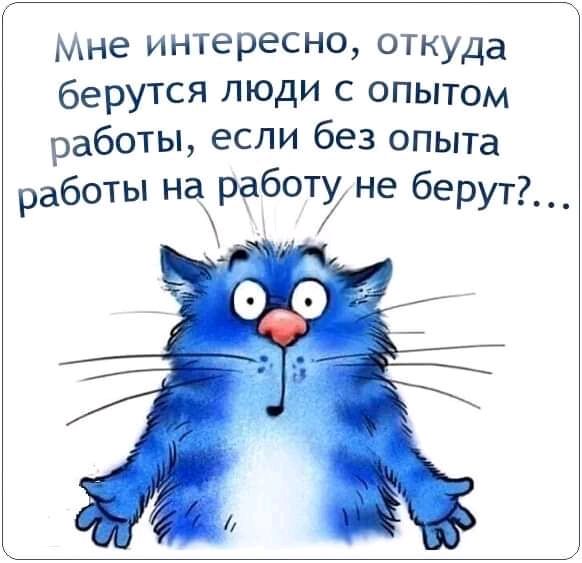 Мне интересно, откуда берутся люди с опытом работы, если без опыта работы нараёёт не берут?...