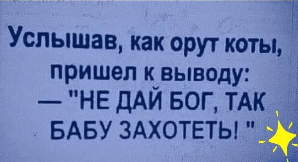Услышав, как орут коты, пришел к выводу  