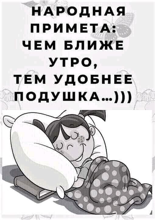 Народная примета: чем ближе утро, тем удобнее подушка...