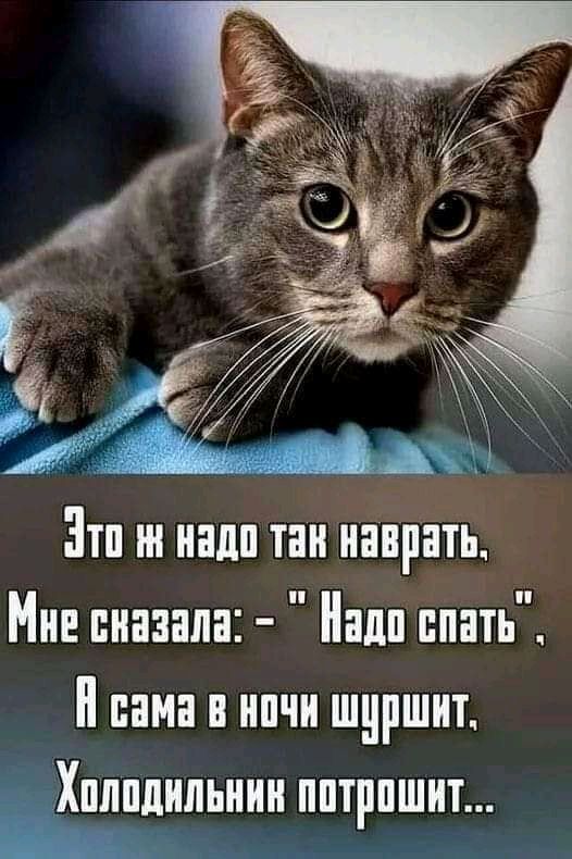 Зтп нндп тан напрнть Мне снизила Нади спать сама в нпчи шуршит Хплпдильнин ППТШШИТ