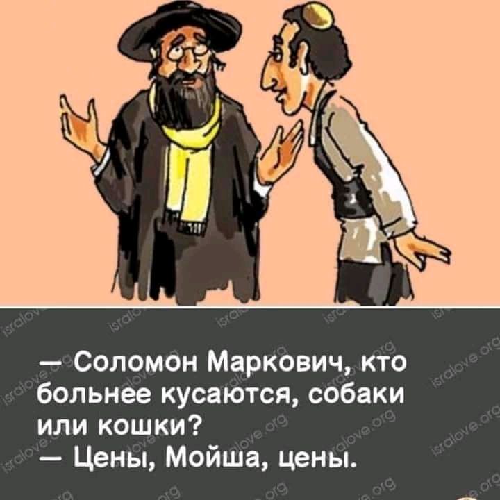 Соломон Маркевич кі о больнёе кусаютя собаки или кошки Цены Мойте цены