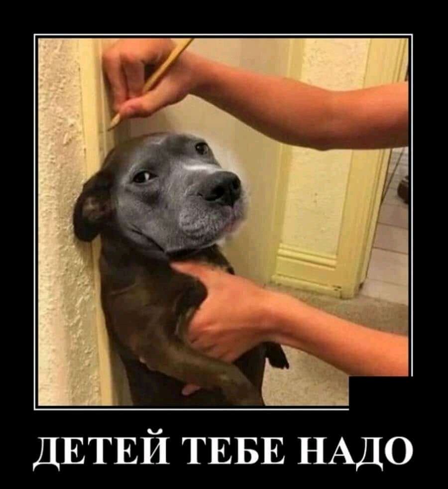 ДЕТЕЙ ТЕБЕ НАДО