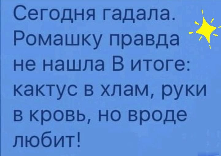 Сегодня гадала _ Ромашку правда не нашла В итоге кактус в хлам руки в кровь но вроде любит
