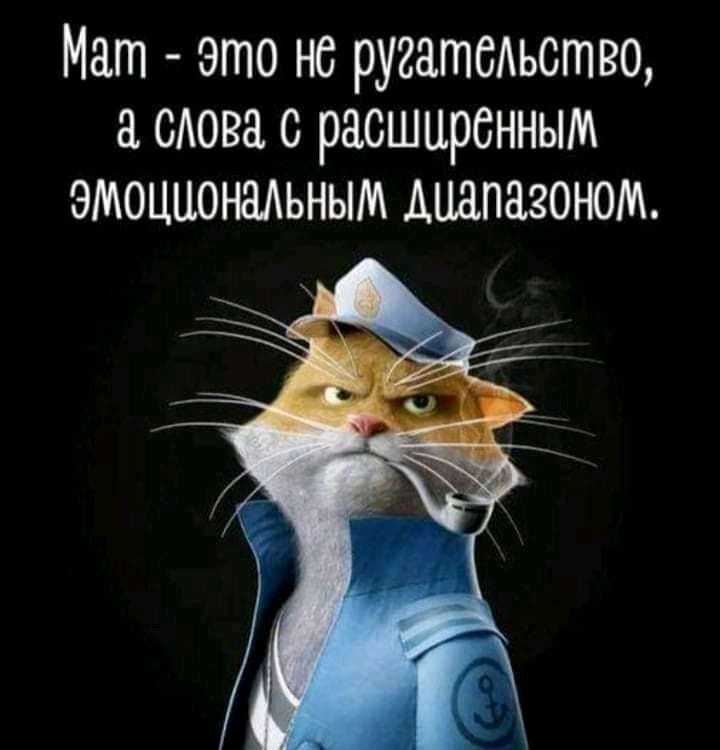 Мат это не ругательство сАова с расширенным эмоциональным Аидпазоном