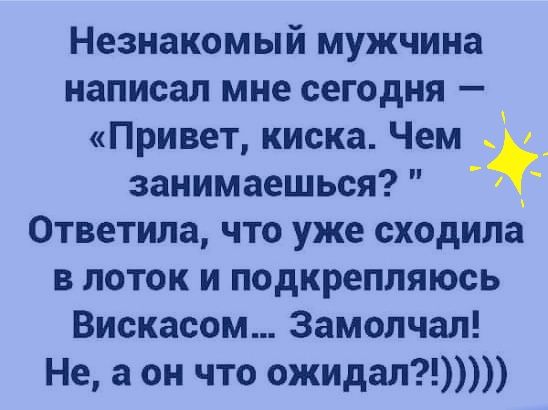 Незнакомый мужчина написал мне сегодня Привет киска Чем _ занимаешься 0тветила что уже сходила в поток и подкрепляюсь Вискасом Замолчал Не а он что ожидал