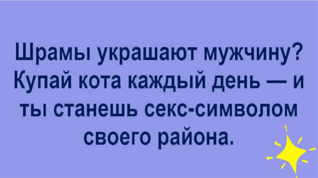 Шрамы украшают мужчину Купай кота каЖДый день и ты станешь секс символом своего района _