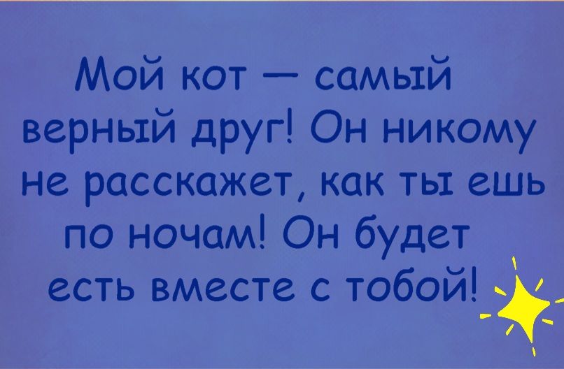 Мой кот самьтй верный друг Он никому не расскажет как ты ешь по ночам Он будет есть вместе с тобой _ ч